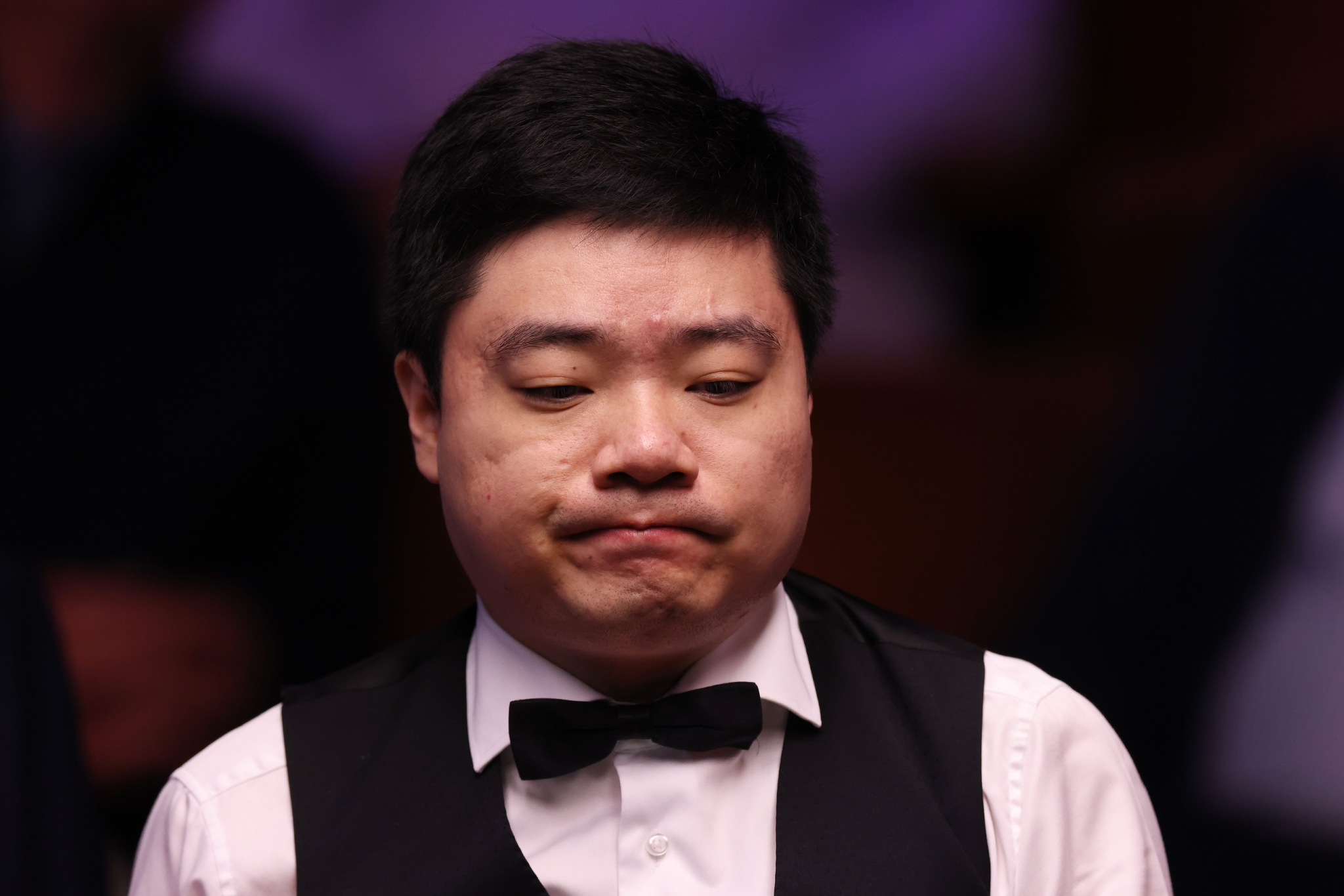 的情感投入 的情感投入